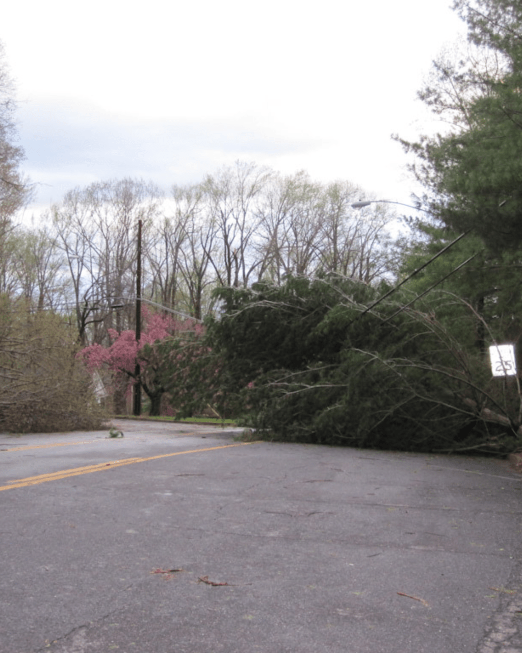 Getting Out of My Own&nbsp;Way