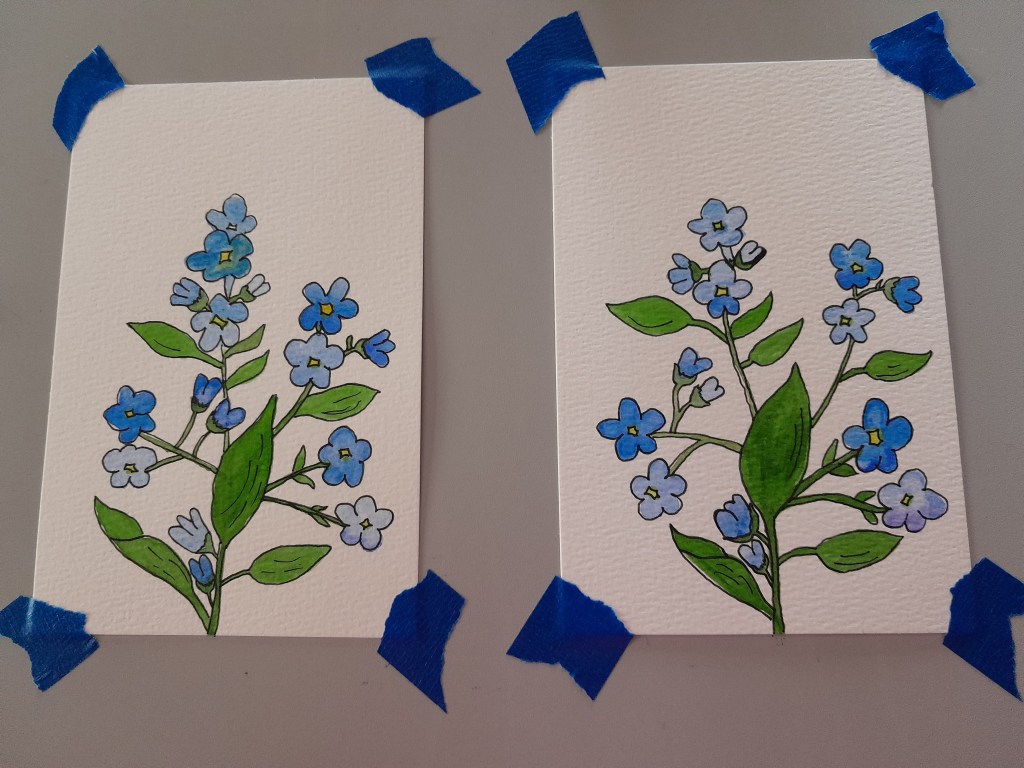 Three watercolored postcards, two with blue forget-me-nots, taped to painting board, and one with a rusty watering can filled with various multi-colored wildflowers.