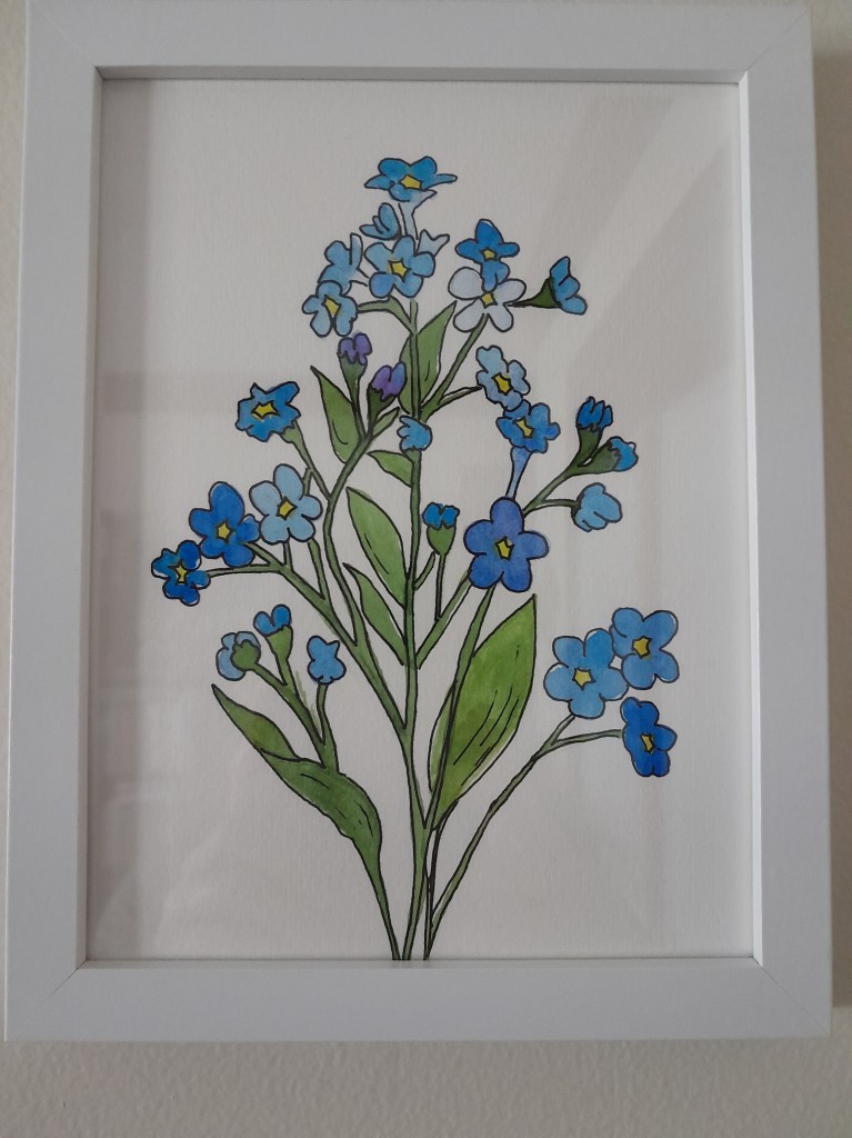 Line and wash blue Forget-Me-Nots in white frame.