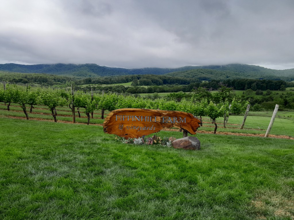 Pippin Hill Farm & Vineyard sign with grape vines behind and mountains in the distance
