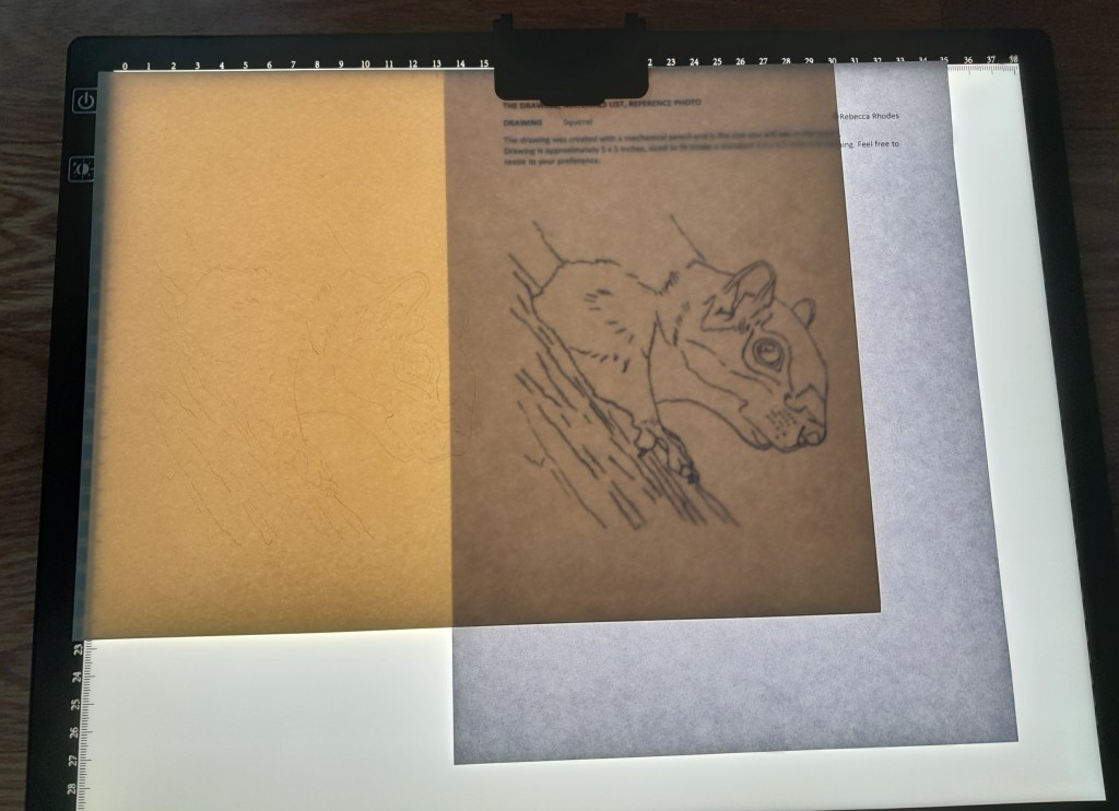 LED light pad with line drawing of squirrel covered by watercolor paper. Light is on to demonstrate how the drawing shows through the thick paper.