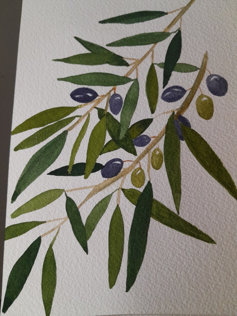 Watercolor olive branches, with both ripe (purplish) and green olives
