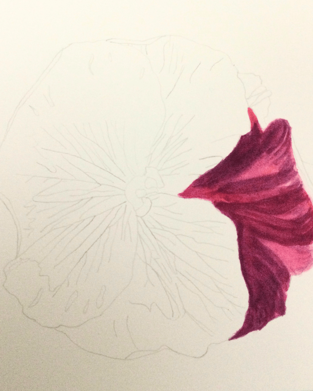 Why Can’t I Stay Motivated?