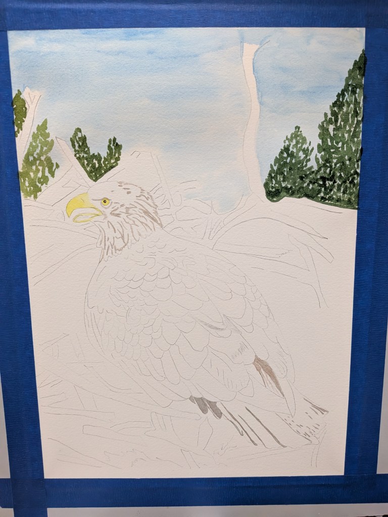 Step-by-step view of watercolor painting depicting eagle sitting on her nest.