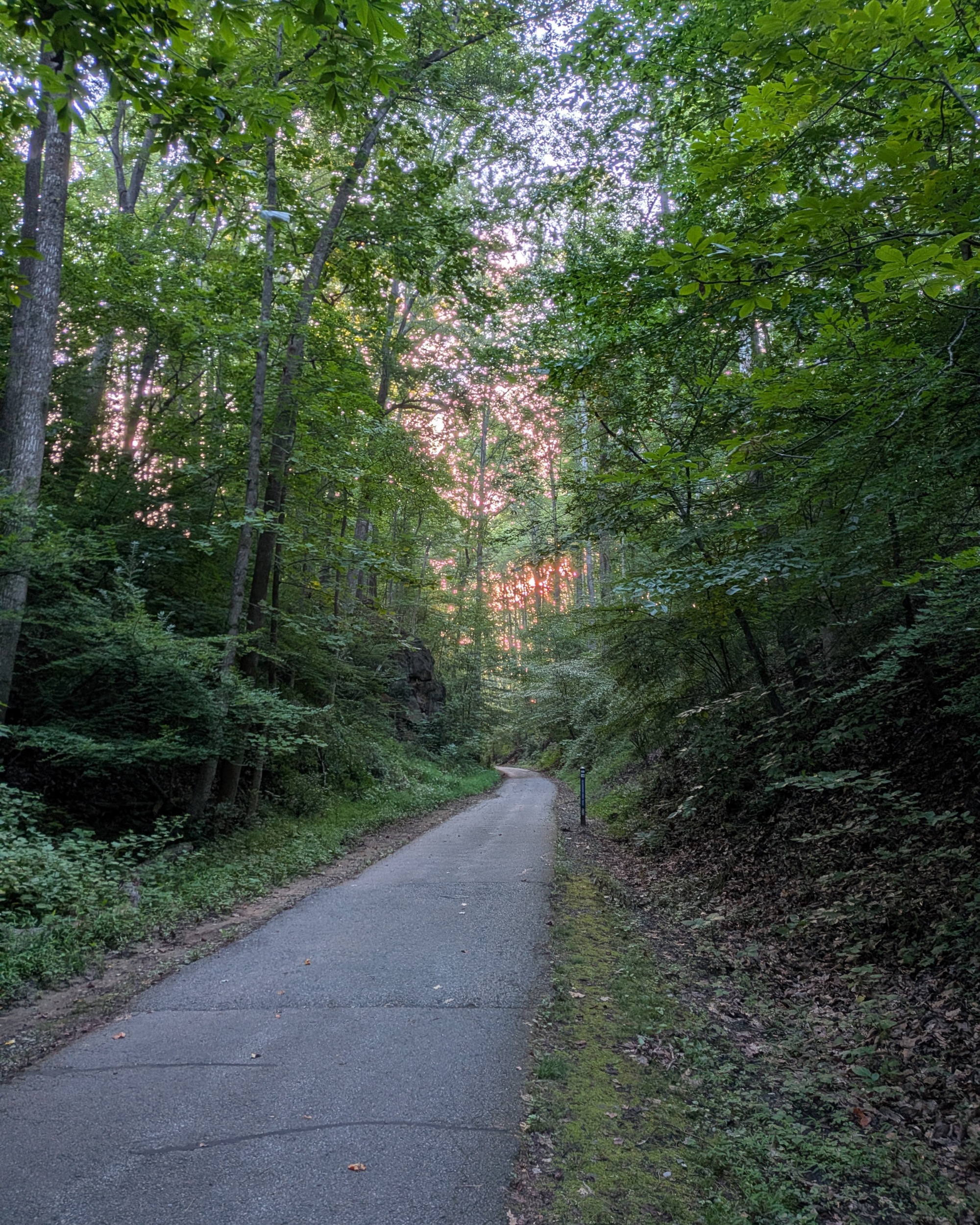Don’t Underestimate the Health Benefits of Walking